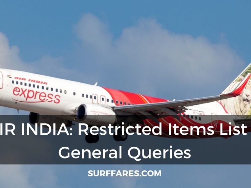 Delta Airlines Restricted Items & Baggage Policy Surffares