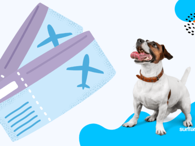 Air India Pet Policy Does Air India Allow Pets On International Flights