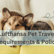 Lufthansa pet policy