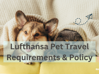Lufthansa pet policy
