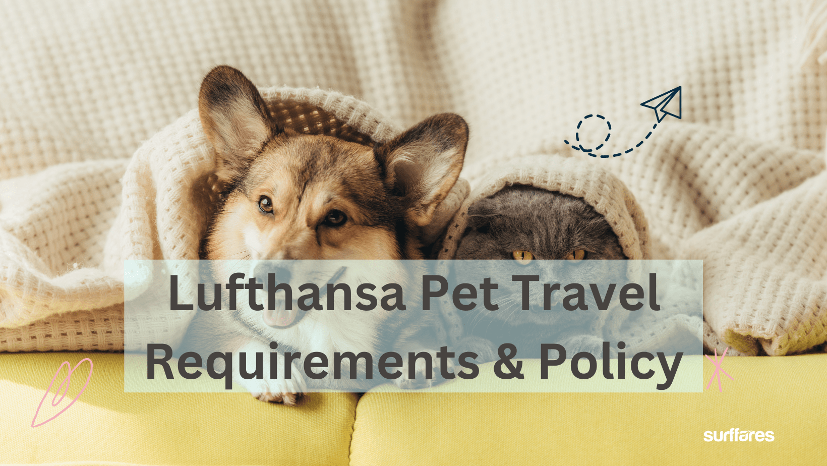 pet travel lufthansa