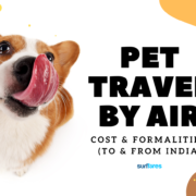 How Much Does It Cost to Fly Pets in India?