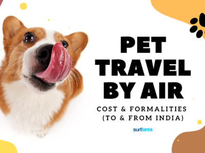 How Much Does It Cost to Fly Pets in India?